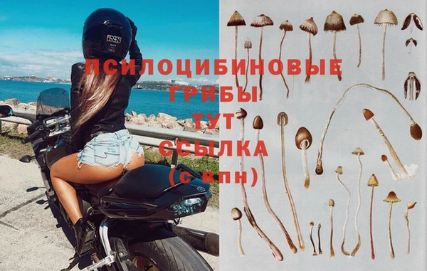герыч Ельня
