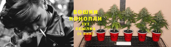 герыч Ельня