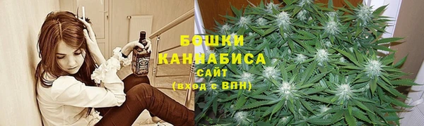 альфа пвп Елизово