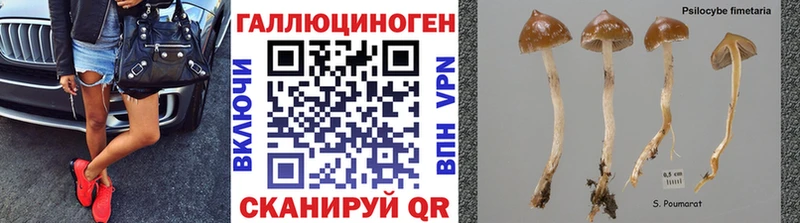 Галлюциногенные грибы ЛСД  Купить закладки  Рыбное 